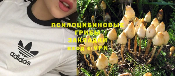 гидра Алзамай